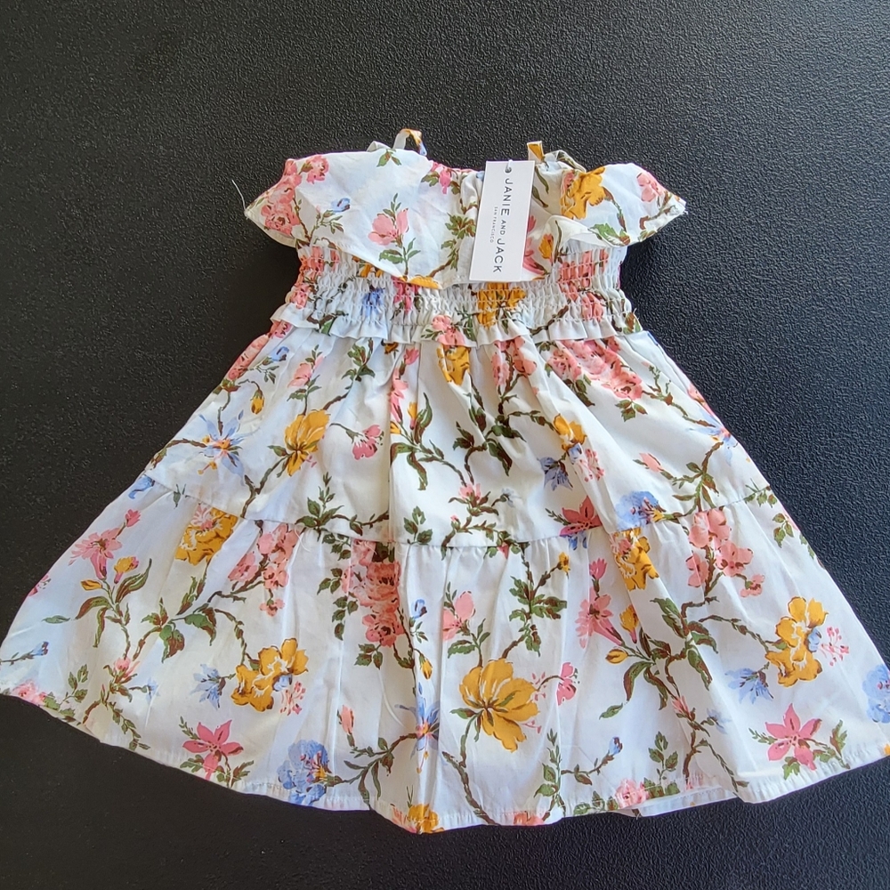 Janie and Jack Flower  Dress  Cotton Pink Floral Rose Flared Dress Girls 12/18 M